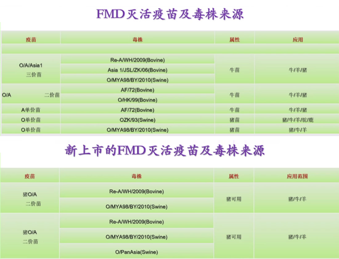 1597656033169028.jpg 3-6.jpg