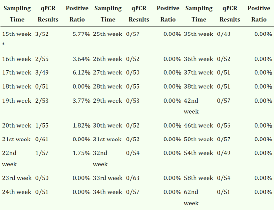 1767149145324932.png image.png