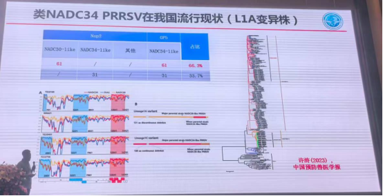 1767150974422830.png image.png